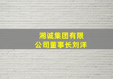 湘诚集团有限公司董事长刘洋