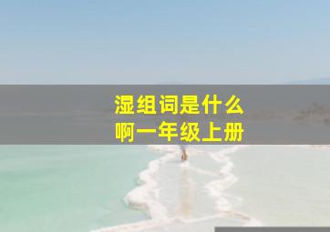 湿组词是什么啊一年级上册