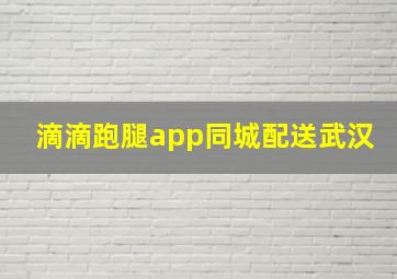 滴滴跑腿app同城配送武汉