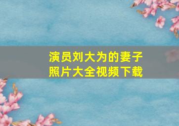 演员刘大为的妻子照片大全视频下载