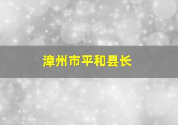 漳州市平和县长