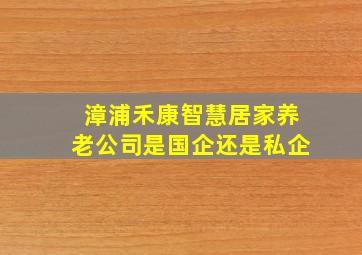 漳浦禾康智慧居家养老公司是国企还是私企