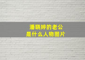 潘晓婷的老公是什么人物图片