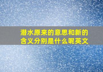 潜水原来的意思和新的含义分别是什么呢英文