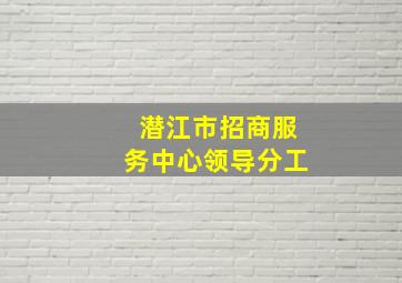 潜江市招商服务中心领导分工