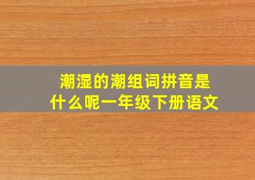 潮湿的潮组词拼音是什么呢一年级下册语文