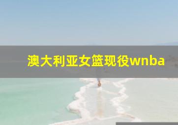 澳大利亚女篮现役wnba