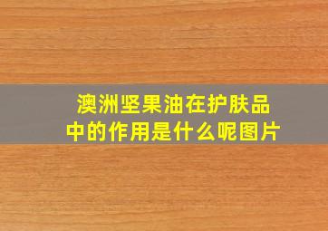 澳洲坚果油在护肤品中的作用是什么呢图片