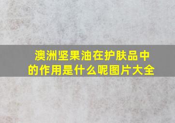 澳洲坚果油在护肤品中的作用是什么呢图片大全