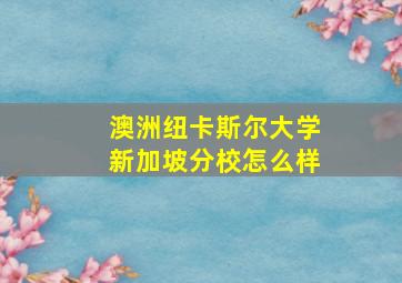 澳洲纽卡斯尔大学新加坡分校怎么样