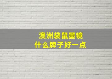 澳洲袋鼠墨镜什么牌子好一点