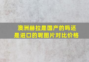 澳洲赫拉是国产的吗还是进口的呢图片对比价格