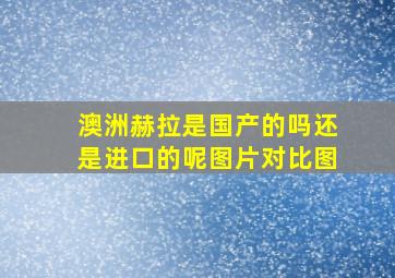 澳洲赫拉是国产的吗还是进口的呢图片对比图