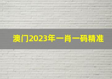 澳门2023年一肖一码精准