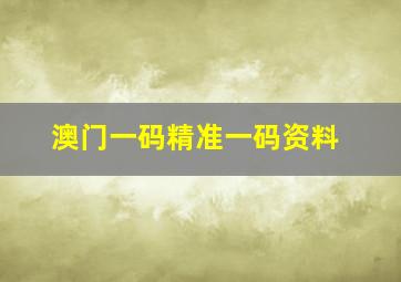 澳门一码精准一码资料