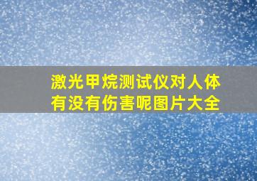 激光甲烷测试仪对人体有没有伤害呢图片大全