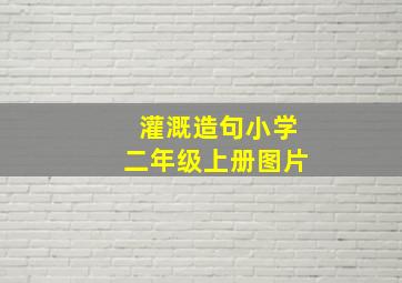 灌溉造句小学二年级上册图片