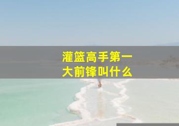 灌篮高手第一大前锋叫什么