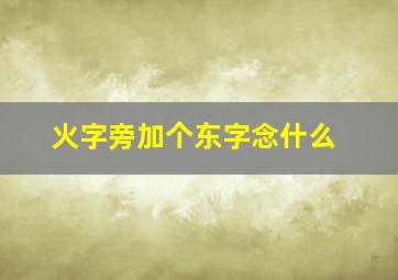 火字旁加个东字念什么