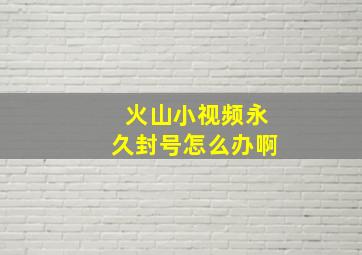 火山小视频永久封号怎么办啊