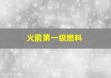 火箭第一级燃料