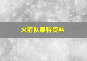 火箭队泰特资料