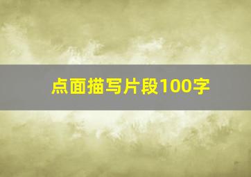 点面描写片段100字