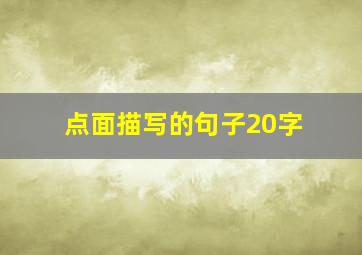 点面描写的句子20字