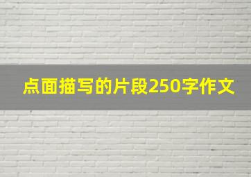 点面描写的片段250字作文