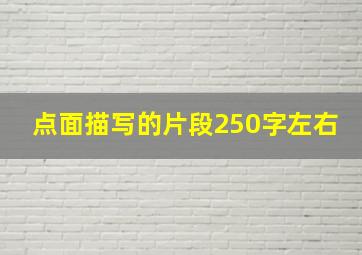 点面描写的片段250字左右