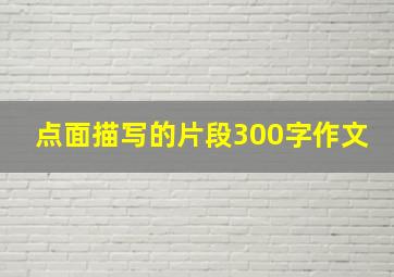 点面描写的片段300字作文