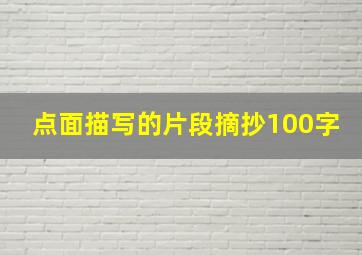 点面描写的片段摘抄100字