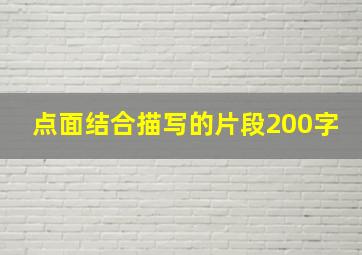 点面结合描写的片段200字