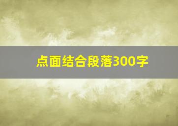 点面结合段落300字