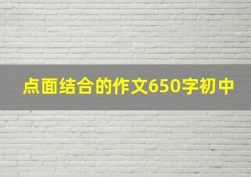 点面结合的作文650字初中