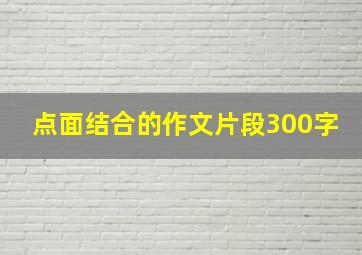 点面结合的作文片段300字