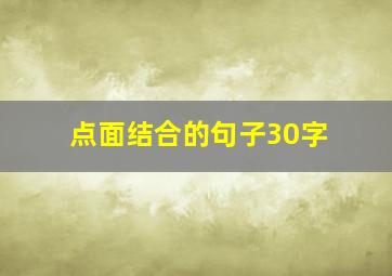 点面结合的句子30字