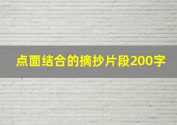 点面结合的摘抄片段200字