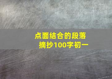 点面结合的段落摘抄100字初一