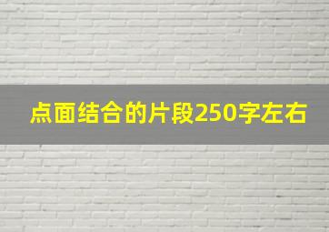 点面结合的片段250字左右