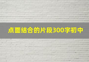 点面结合的片段300字初中