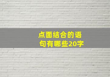 点面结合的语句有哪些20字