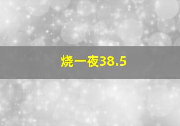 烧一夜38.5