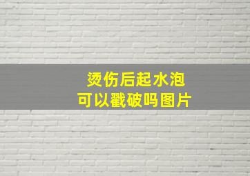 烫伤后起水泡可以戳破吗图片