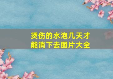 烫伤的水泡几天才能消下去图片大全