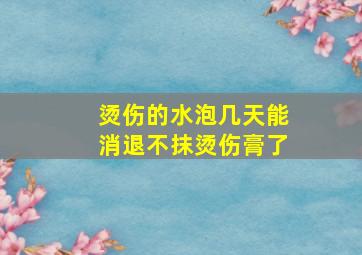 烫伤的水泡几天能消退不抹烫伤膏了