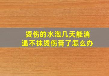 烫伤的水泡几天能消退不抹烫伤膏了怎么办