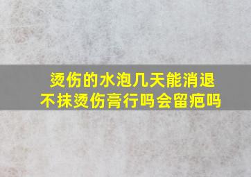 烫伤的水泡几天能消退不抹烫伤膏行吗会留疤吗