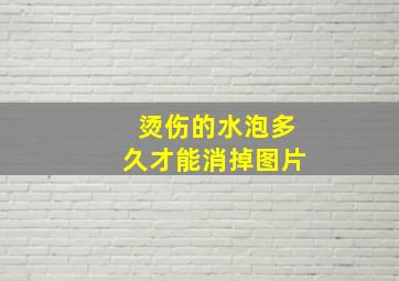 烫伤的水泡多久才能消掉图片