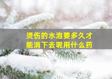 烫伤的水泡要多久才能消下去呢用什么药